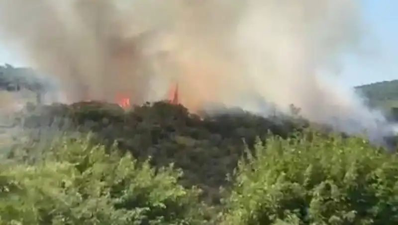 İstanbul'daki Orman Yangınında Tahliye Süreci ve İlk Yardım Çalışmaları