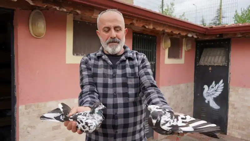 42 Yıllık Hobi: Yerel Girişimci Profesyonel Tesise Dönüştürüyor