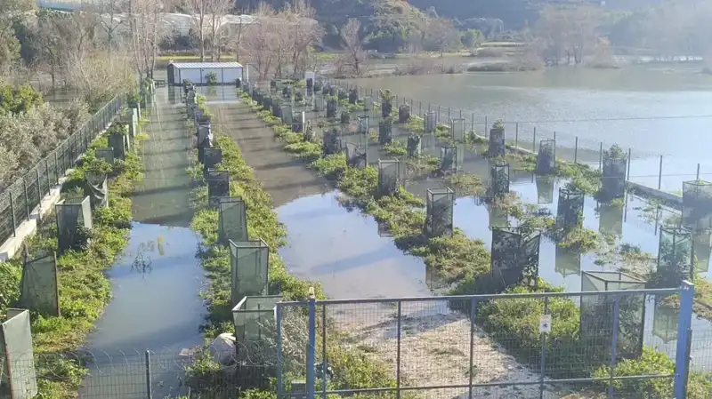 Doğa Felaketi: Irmak Taşması Otoyol Şantiyesini Ne Hale Getirdi?