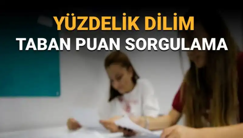 LGS 2025 Taban Puanları ve Yüzdelik Dilim Sorgulama: Kılavuzunuz Burada!