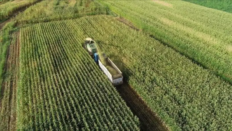 2025 Mazot ve Gübre Desteği Ödemeleri: Son Durumu Öğrenin