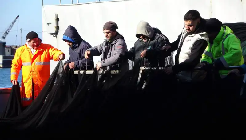 Denizlerde Hamsi Avında Şok Gelişme: Balıkçılar Erken Paydos Etmek Zorunda Kaldı