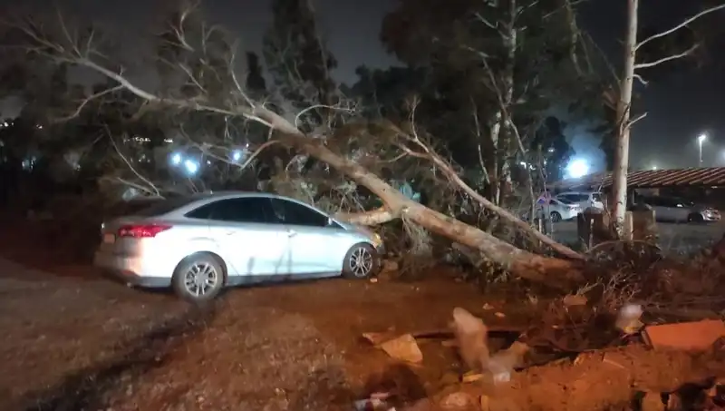 Hatay’da Yaşanan Şiddetli Fırtına: Doğaya ve Hayata Zarar Verdi
