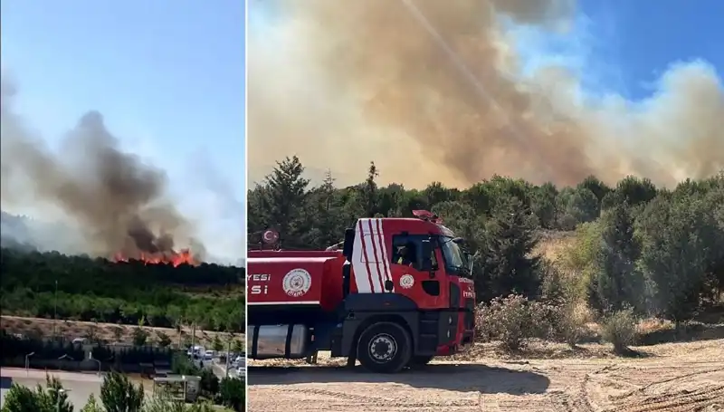 Gebze’de Orman Yangını: Doğal Güzellikler Küller İçinde Mi Kalacak?