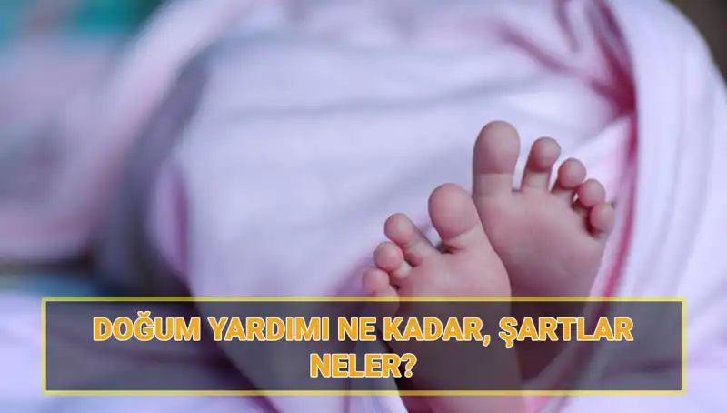 2025'te Doğum Yardımı Başvuruları Başladı: Şartlar ve Tutarlar Hakkında Her Şey