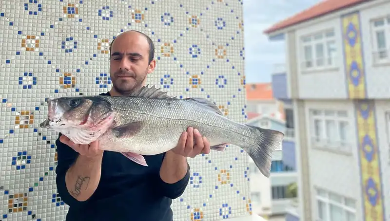 7,5 Kiloluk Dev Levrek: Balıkçıların Yüzünü Güldüren Şans