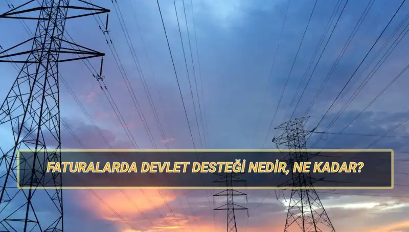 2025'te Doğalgaz ve Elektrik Faturası İçin Alınacak Devlet Destekleri