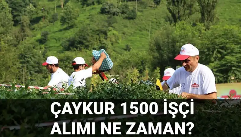 Çaykur İşçi Alımında Son Gelişmeler: Başvuru Tarihleri Açıklandı mı?