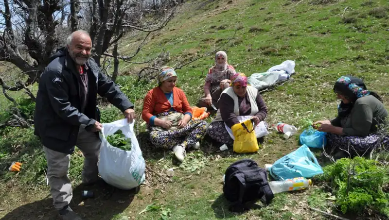 Doğa Sevdalıları 5 Saat Yürüyüp Yüksek Fiyata Topladıkları Mantarlarla Geçimlerini Sağlıyor
