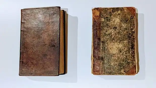 200 Yıllık Gizem: Katilin Derisiyle Yapılmış Kitap Müzesini Şaşkına Çevirdi