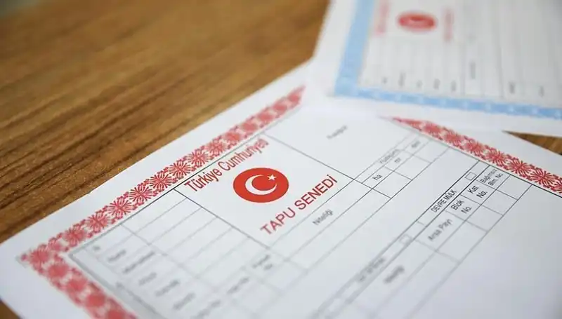 100 Milyonluk Dolandırıcılık: Hisseli Tapu ile Kandırılanların Dramı