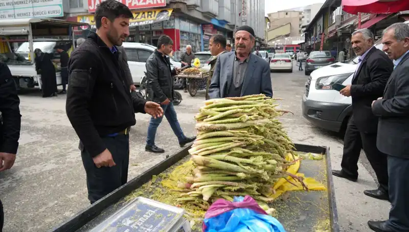 Doğanın Şifalı İksiri: Dağlarda Yetişen Şekerin Sağlığa Faydaları